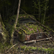 Illustration for article titled Photos of the abandoned antique cars nature has reclaimed